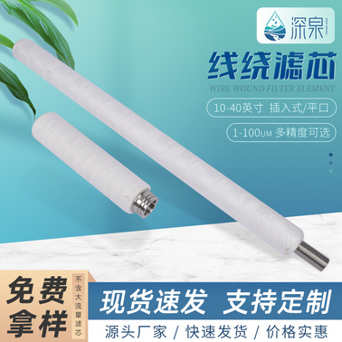 線繞濾芯插入式